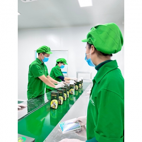 Dầu gội Thanh Mộc Hương Chính Hãng